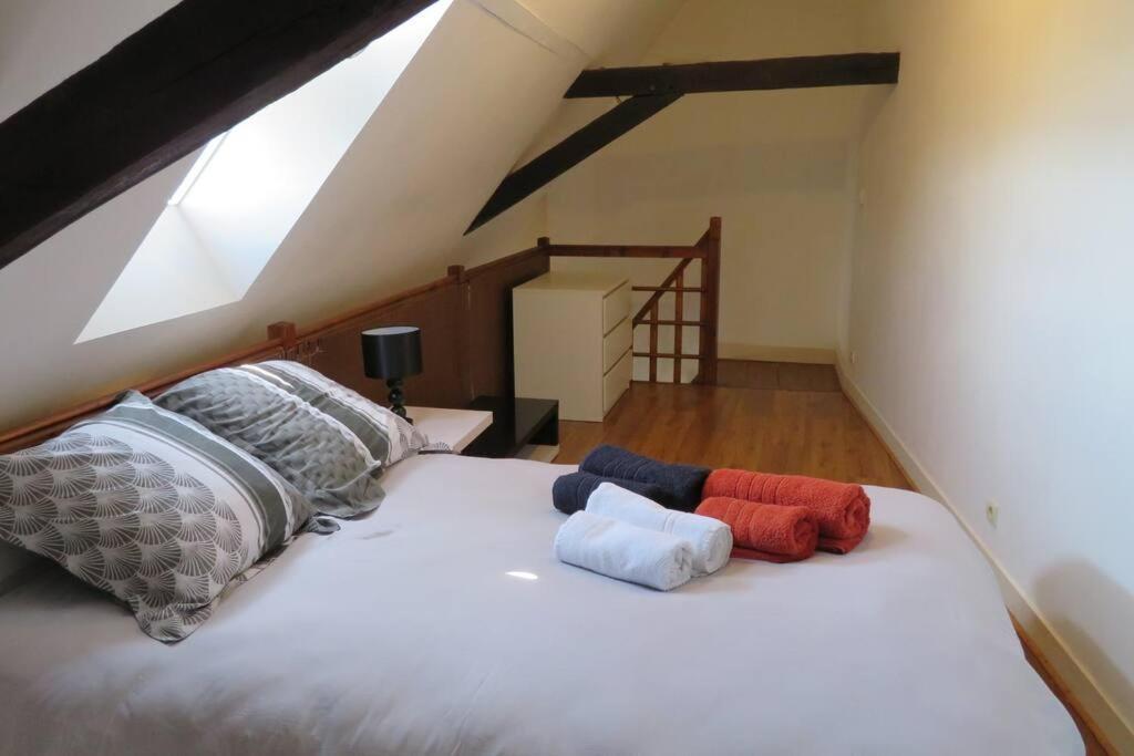 Loft De 53 M2 Centre Ville Blois,Tv Экстерьер фото